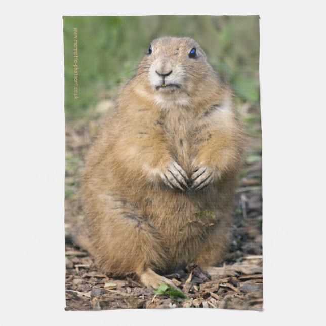 Jag är inte tjock, jag är gosig kökshandduk (Vertikal)