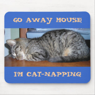 JAG ÄR KATTNAPPING! MUSMATTA