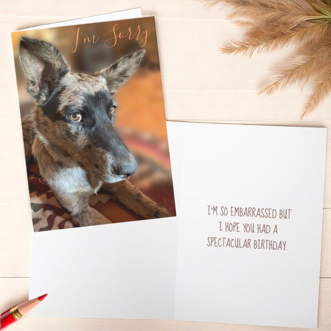Jag är ledsen att Öga-boskap är Hund i födelsedage Kort (Template text cover and inside greeting card)