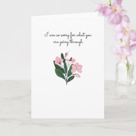 Jag är ledsen för det du går igenom kort