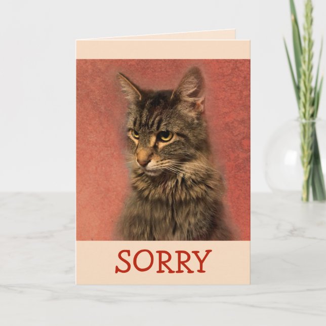 Jag är ledsen för Kattunge-apologin Kort (Framsida)