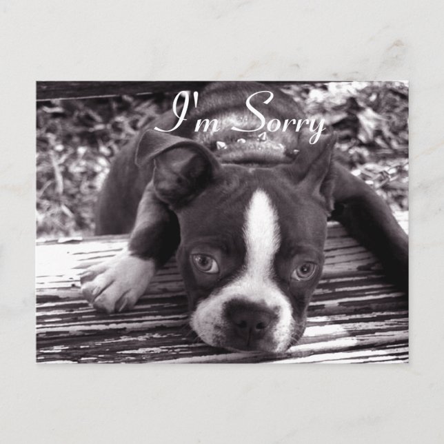 Jag är ledsen kort (Framsida)