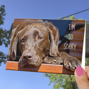 Jag är ledsen Labrador Retriever Försent Födelseda Kort