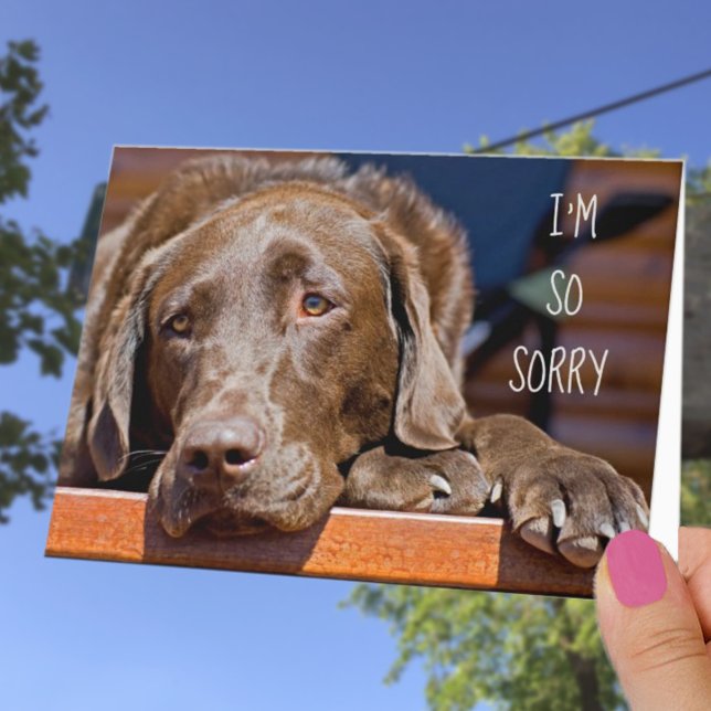 Jag är ledsen Labrador Retriever Försent Födelseda Kort (Skapare uppladdad)