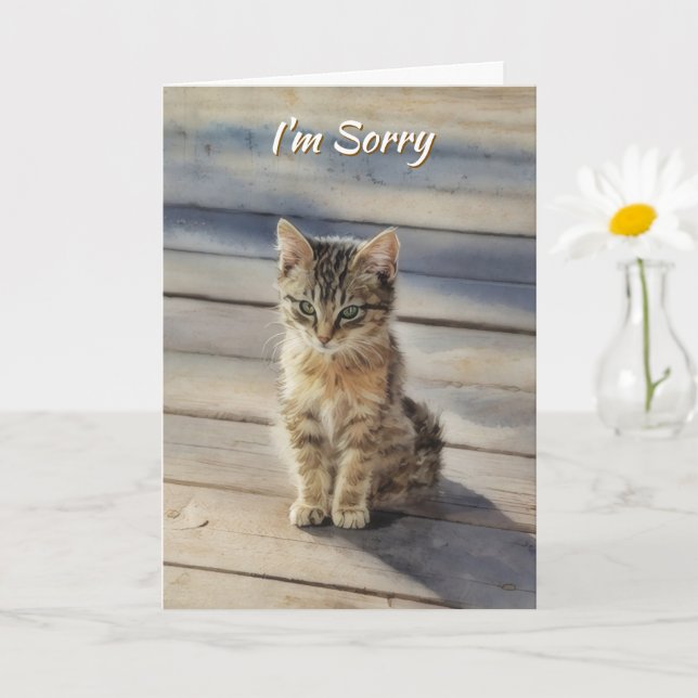 Jag Är Ledsen Söt Kattunge Katt Kort (Liten växt)