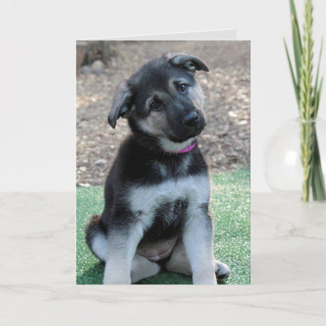 Jag är ledsen tyska Shepherd Cutest Puppy Card Helgkort (Framsida)
