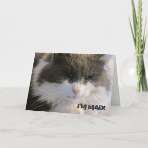 Jag är Mad! Att jag missade din födelsedagskatt Kort