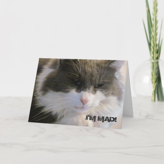 Jag är Mad! Att jag missade din födelsedagskatt Kort (Framsida)