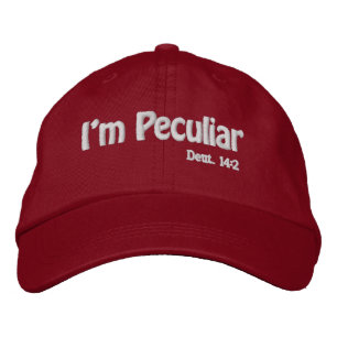 Jag är märklig att anpassa den broderad keps