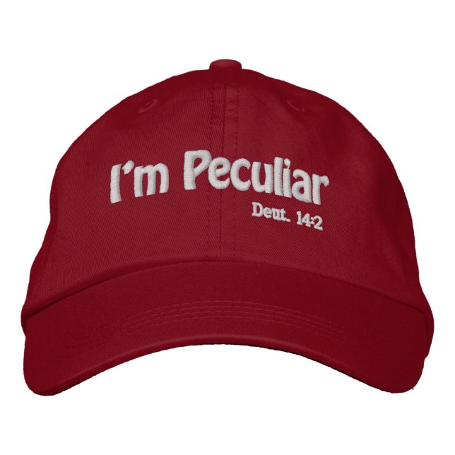 Jag är märklig att anpassa den broderad keps (Framsida)