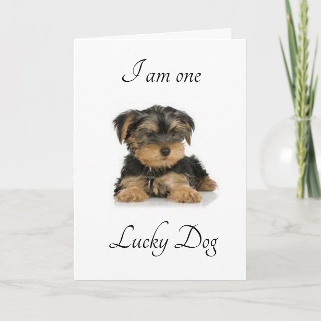 JAG ÄR "MARRIERAD TILL DIG" SÅ LUCKY ATT JAG ÄR KORT (Framsida)