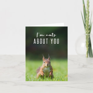 Jag är nöt om dig Squirrel Modern Funny Fluffy Kort