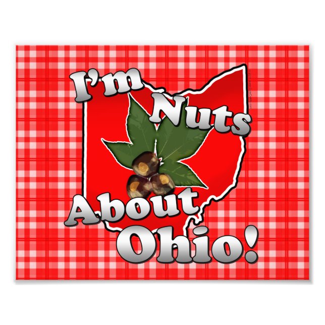 Jag är Nöt om Ohio, Lilla Red Buckeye Nöt Fototryck (Framsidan)