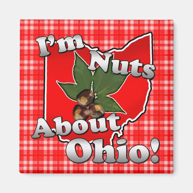 Jag är Nöt om Ohio, Lilla Red Buckeye Nöt Magnet (Framsidan)