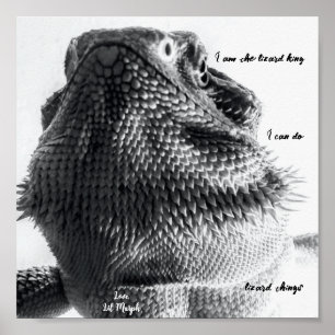 "Jag är ödla kung" Black and White Lizard Poster
