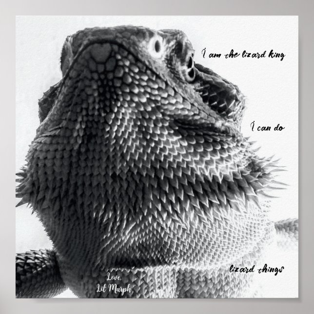 "Jag är ödla kung" Black and White Lizard Poster (Framsidan)