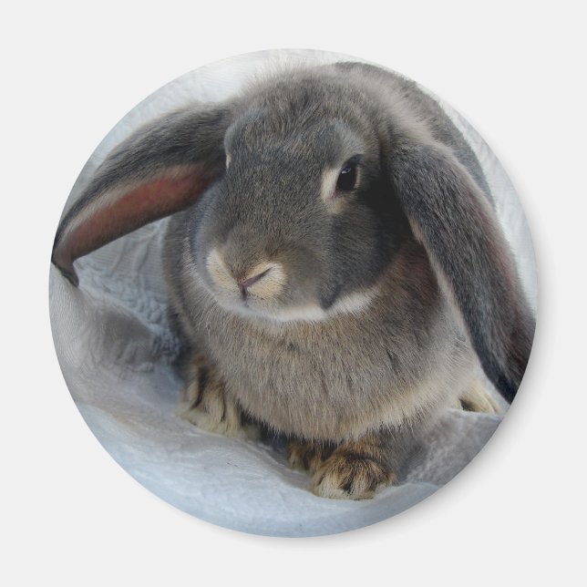 Jag är Öron för dig Magnet (Framsidan)