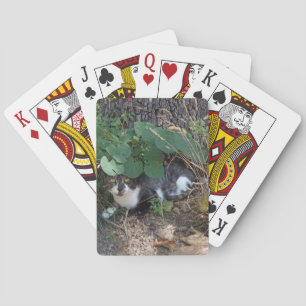 Jag är osynlig katt casinokort