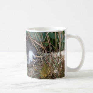 Jag är osynlig katt kaffemugg