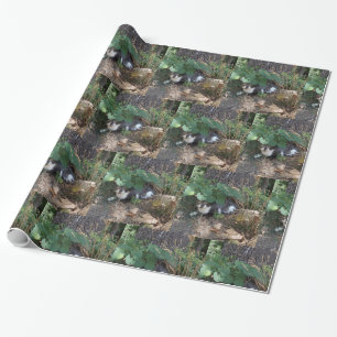 Jag är osynlig katt presentpapper