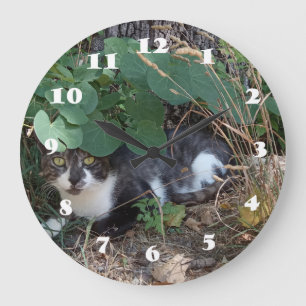 Jag är osynlig katt stor klocka