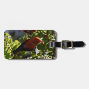 Jag är på en Lehua-Blommar Bagagebricka