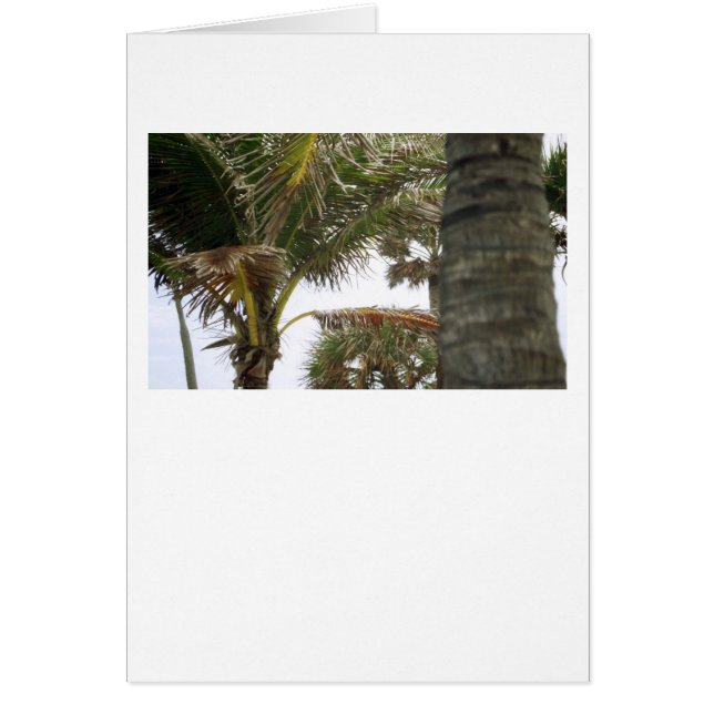 Jag är på Island Time! Hälsningskort (Framsidan)