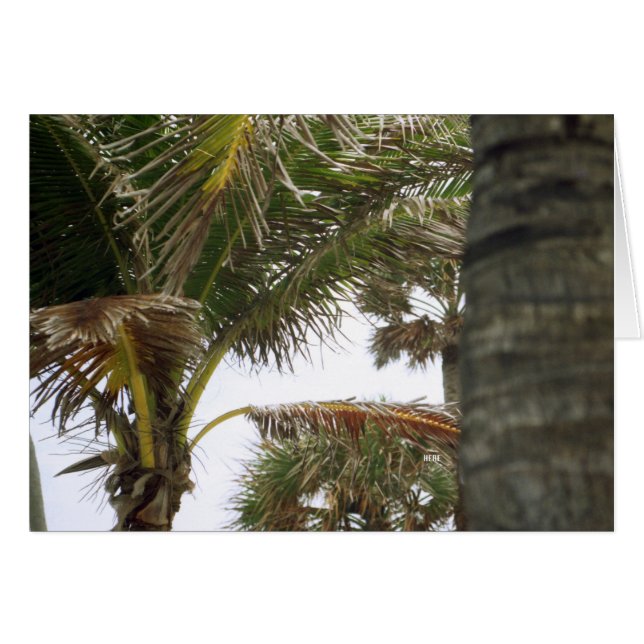 Jag är på Island Time! Hälsningskort (Framsidan Horizontal)