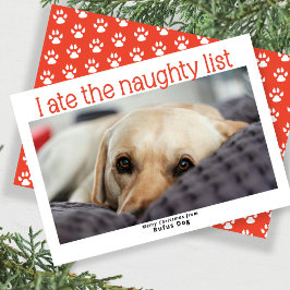 Jag är på Naughty List-Hund julfoto Julkort