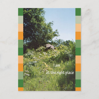 Jag är på rätt plats vykort