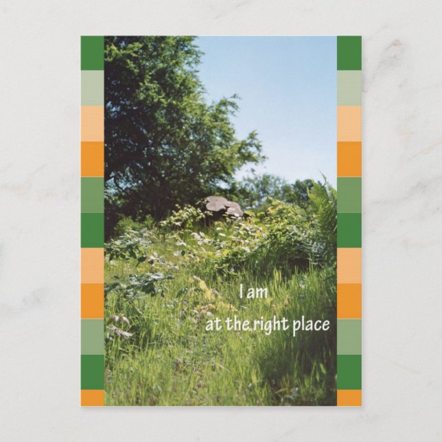 Jag är på rätt plats vykort (Framsida)
