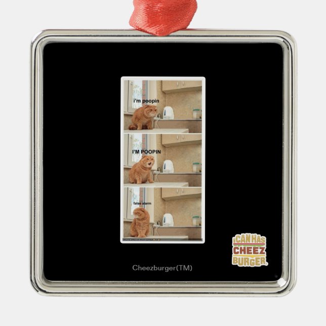 Jag är poopin! julgransprydnad metall (Framsidan)