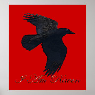 Jag är RAVEN II Poster flygande Raven Art