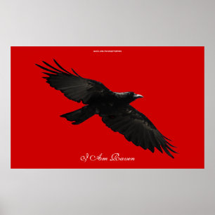 Jag är RAVEN III Poster Black Raven Art