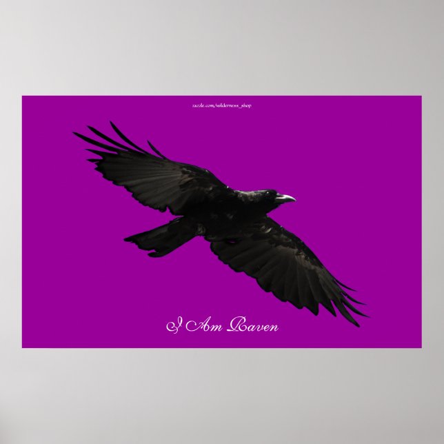 Jag är RAVEN III Poster Black Raven Art (Framsidan)
