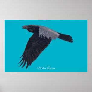 Jag är RAVEN V Poster Black Raven Art