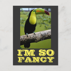 JAG ÄR SÅ FINARE TOUCAN POSTCARDS VYKORT