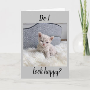 JAG ÄR SÅDAN **LEDSEN** OCH SÅLEDES **SORRY** KORT