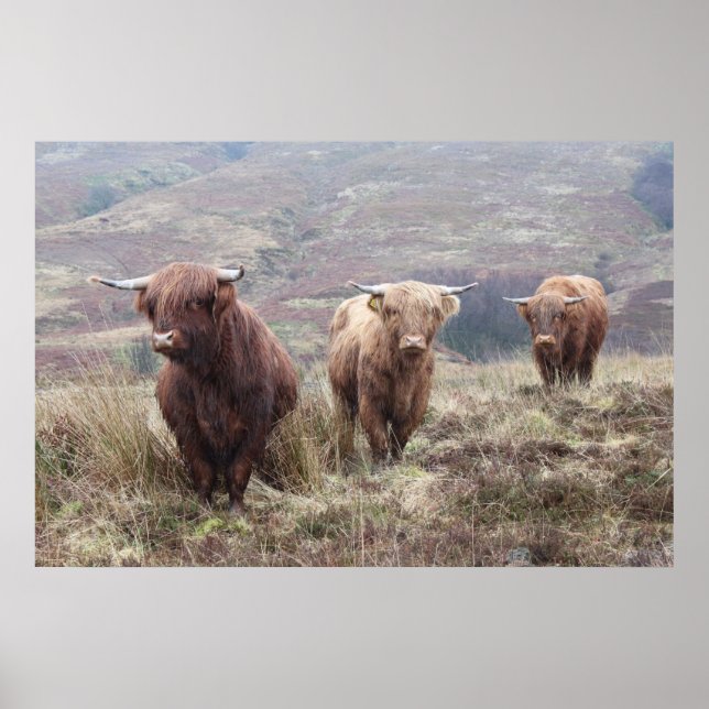 Jag är stolt över att vara skotsk! poster (Framsidan)