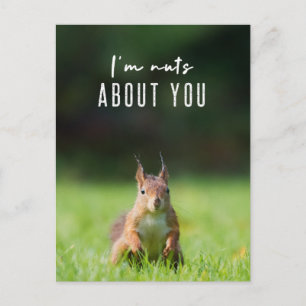 Jag är tokig i dig   Squirrel Modern Rolig Fluffig Vykort