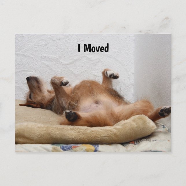 Jag är utmattad! Postkort Vykort (Framsida)