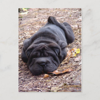 Jag är utspelad! vykort