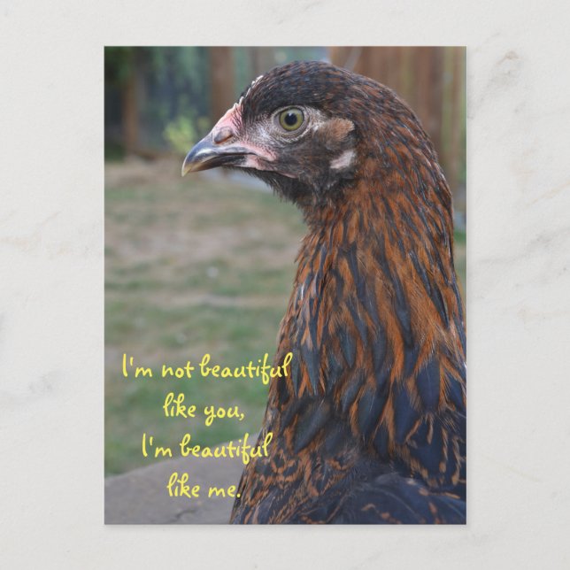 Jag är vacker... Postkort för Cochin Chicken Vykort (Framsida)