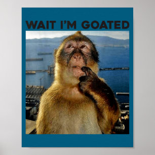 Jag är Vänta Goated Tänkande Apa Meme Poster