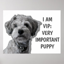 Jag är VIP: Mycket viktig marionett, söt hund Poster