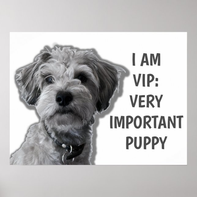 Jag är VIP: Mycket viktig marionett, söt hund Poster (Framsidan)