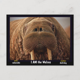 Jag är Walrus, ett utrotningshotat djur - Vykort
