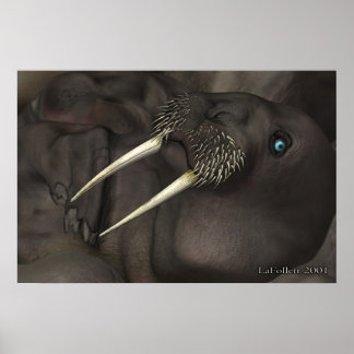 Jag är Walrus Poster