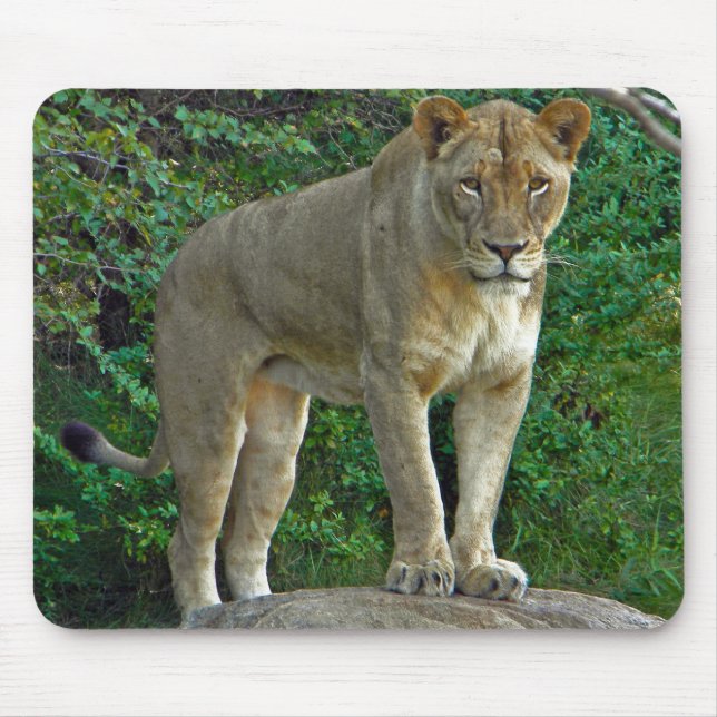 Jag är Woman! Musmatta (Framsidan)