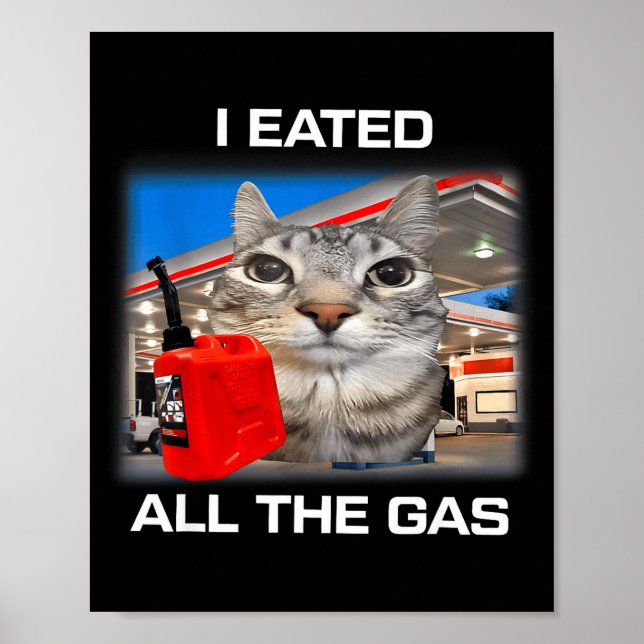 Jag åt all bensin Roligt dumt stirrande katt meme  Poster (Framsidan)
